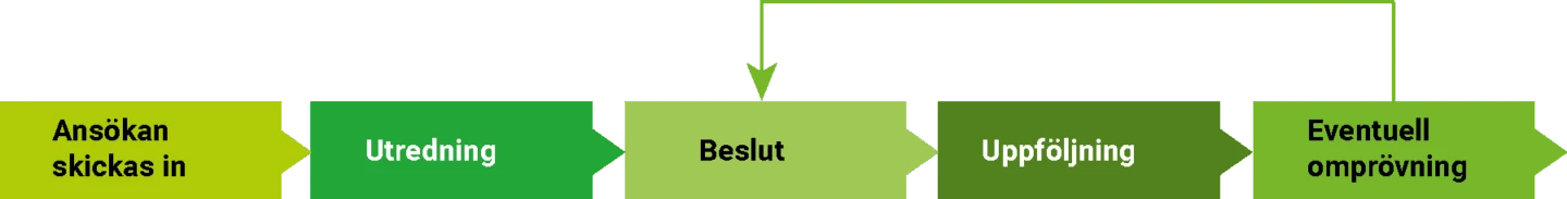 6 gröna rutor med pila emellan