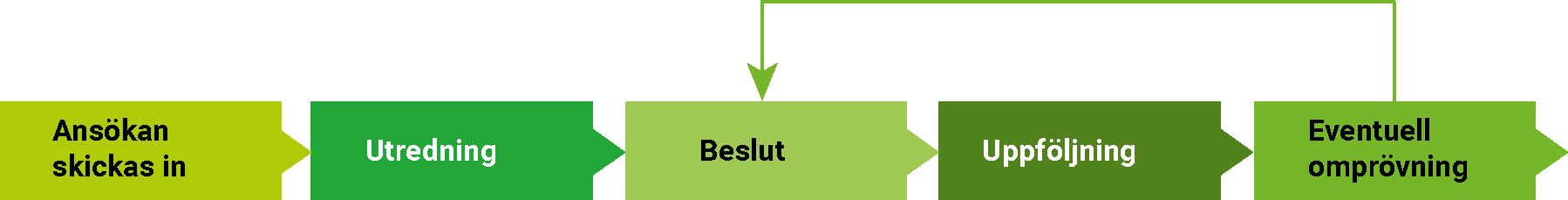 6 gröna rutor med pila emellan