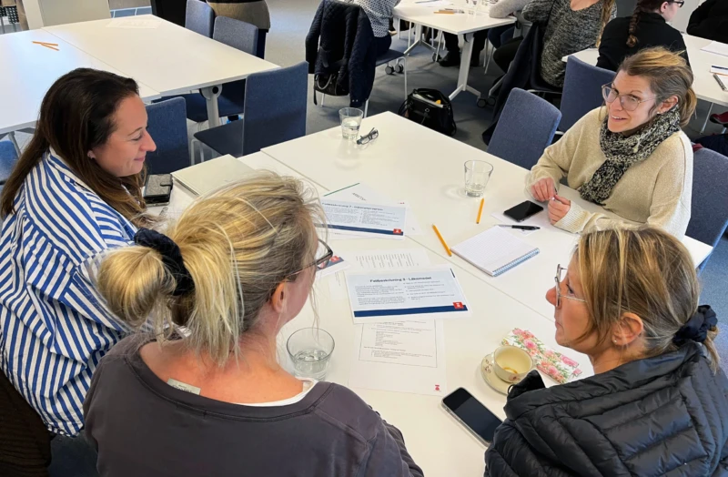 Nerifrån högen; Monique, distriktsköterska inom hemvården, Hanna, fysioterapeut inom hemvården, Patricie enhetschef för HSL-personal inom hemvården och Karolin sjuksköterska habiliteringsteamet, deltog i en av flera livliga diskussioner om ett fiktivt fall av egenvård.