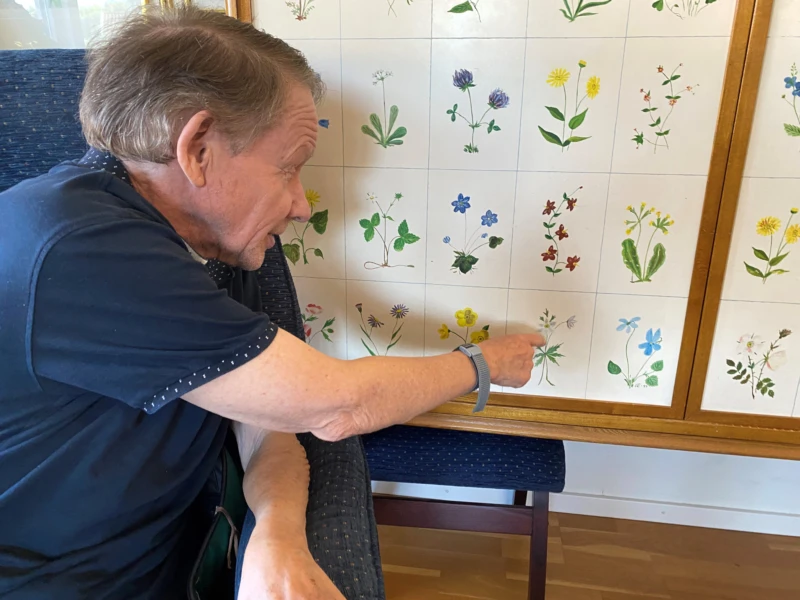 Björn går igenom namnen på varje växt på linneskåpet.
