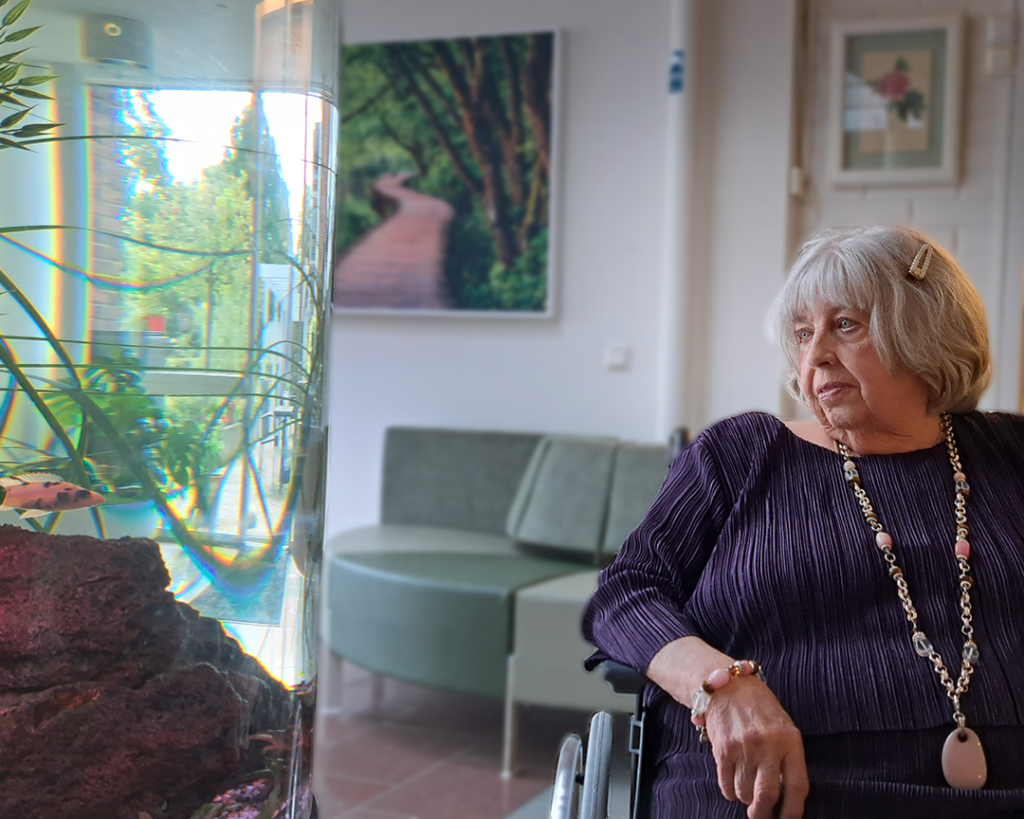 Äldre kvinna med grått hår i pagefrisyr. Mörklila blus. Sitter i rullstol och tittar på ett akvarium