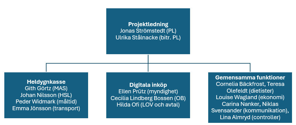 Organisationsschema för projektet