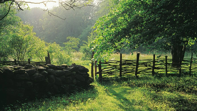Skånsk natur