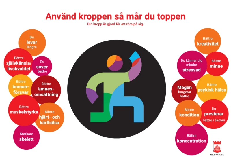 Klicka på bilden för en större version.
