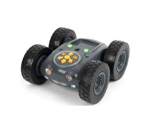 Rugged robot