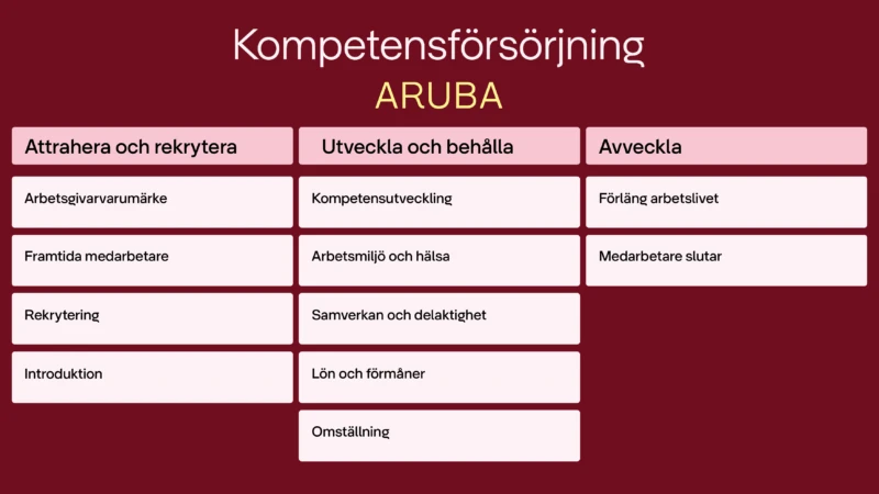 ARUBA-modellen. Klicka för att öppna bilden som en pdf