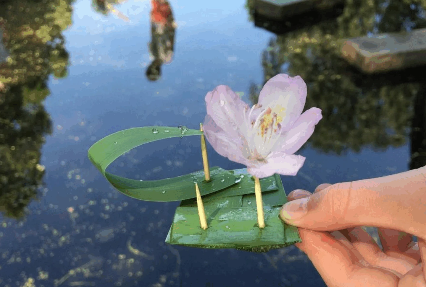 en hand som håller en blomma
