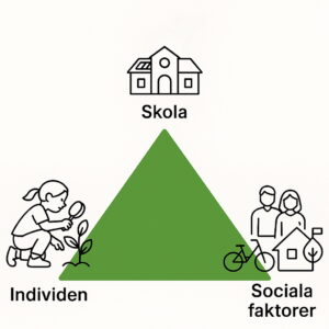 Illustration av en grön triangel med tre hörn som representerar faktorer som påverkar barns närvaro i skolan. Överst står "Skola" med en ikon av en skolbyggnad. Nederst till vänster står "Individen" med en ikon av ett barn som undersöker en planta med förstoringsglas. Nederst till höger står "Sociala faktorer" med ikoner av två vuxna, ett hus och en cykel.