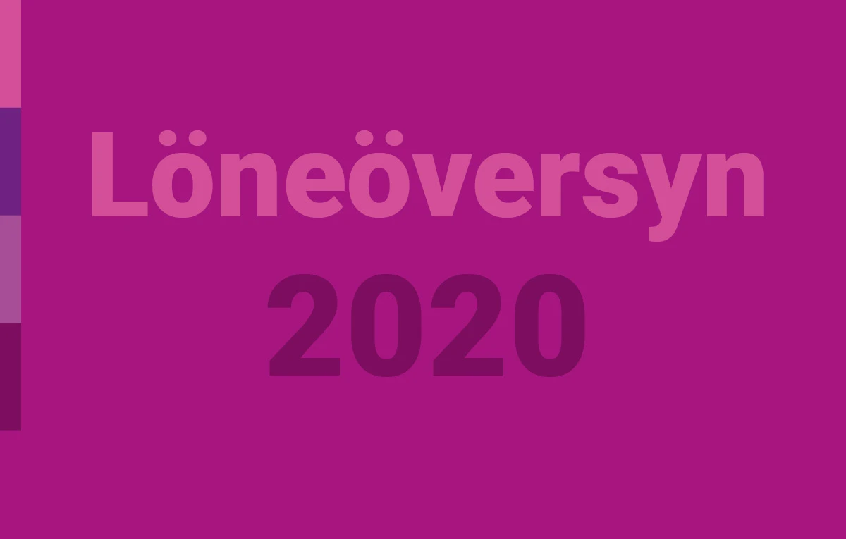Löneöversyn 2020