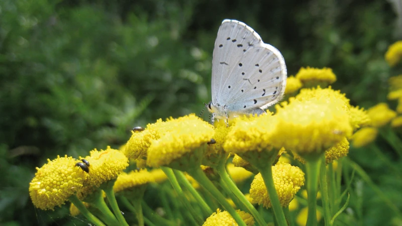Foto: Birgit Müller