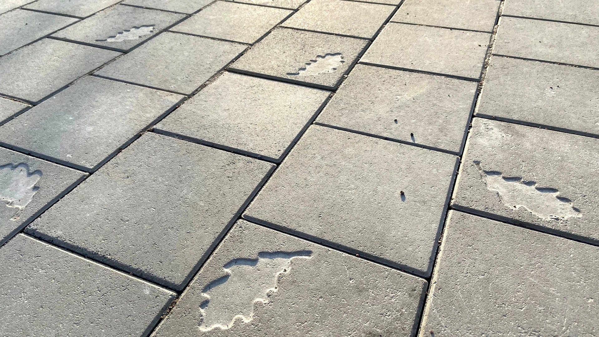 Klimatsmart betong, hållbart markmaterial