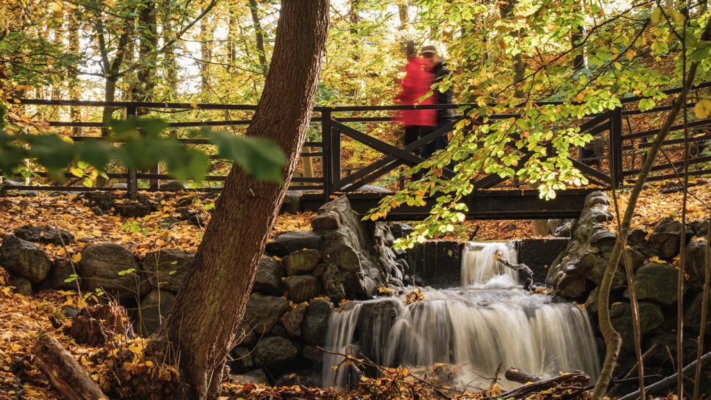 Bäck och vandrare i naturreservatet Jordbodalen