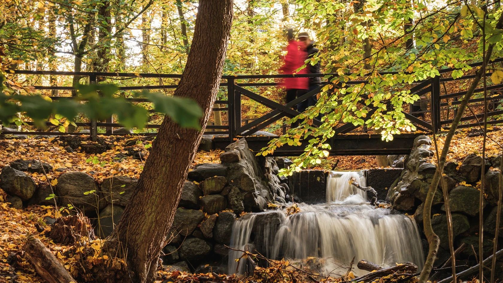 Bäck och vandrare i naturreservatet Jordbodalen