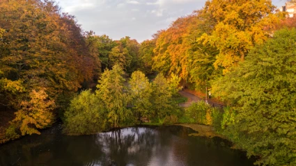 Damm i naturreservatet Jordbodalen