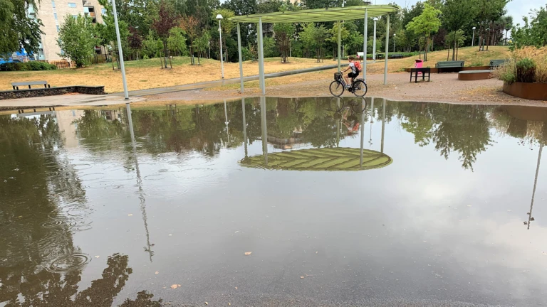 Översvämmat grönområde