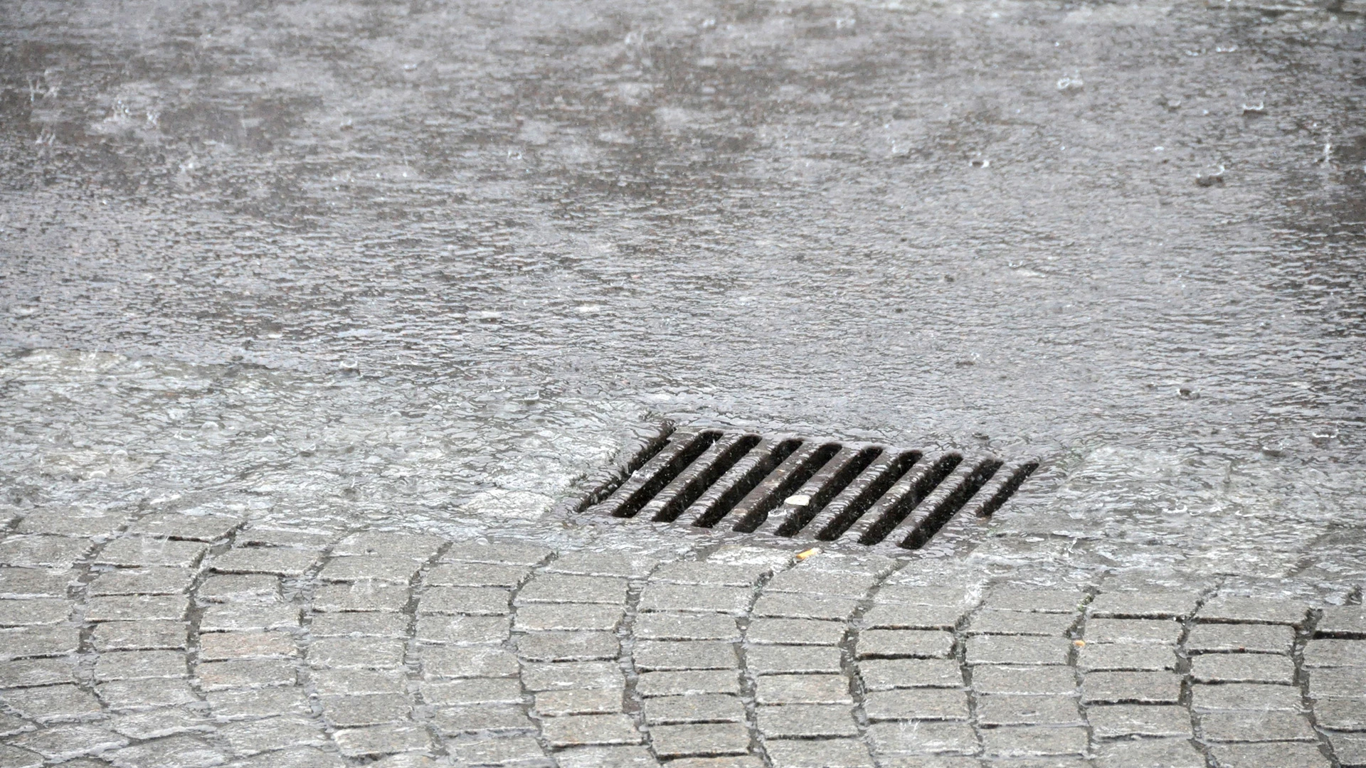 Regnvatten rinner ner i dagvattenbrunn