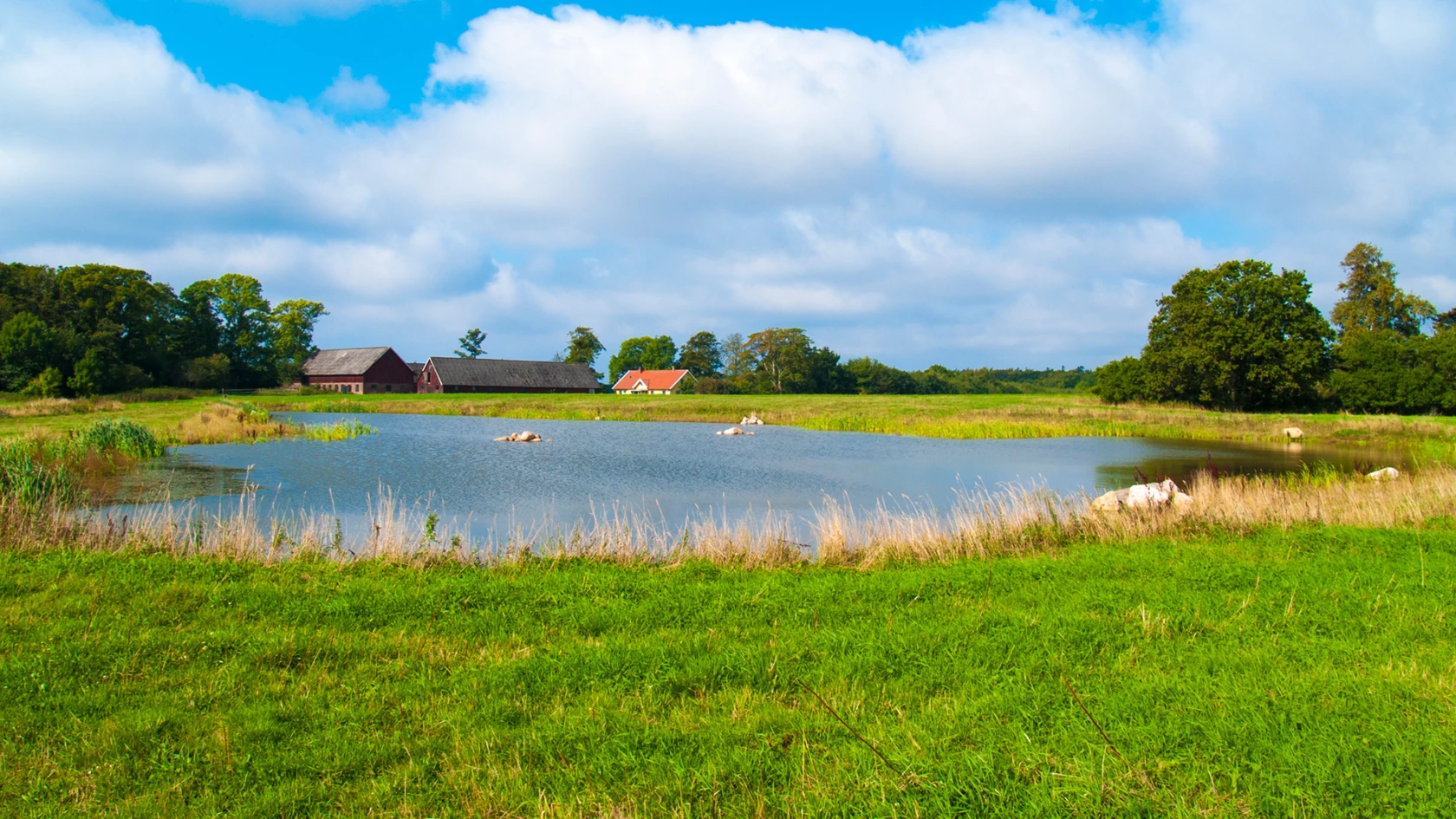 Våtmark Djuramossa, klimatskolan