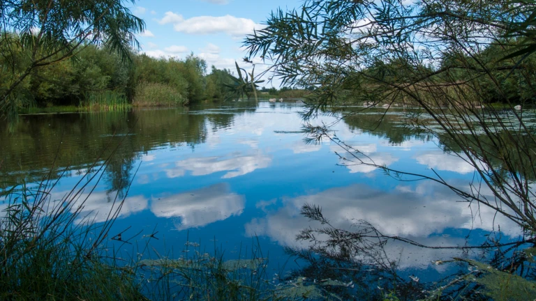 Våtmark Kingelstad, klimatskolan